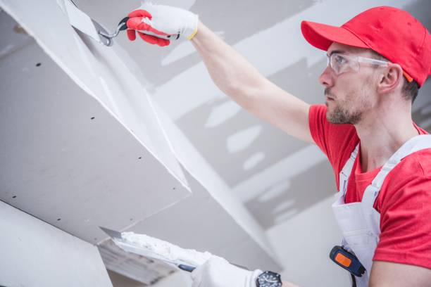 Mold Odor Removal Services in Lockport, LA